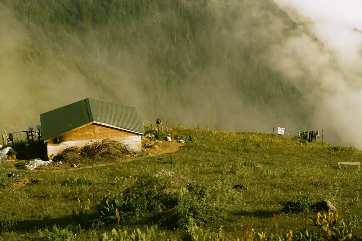 Casa de madera con tejado verde en una ladera de hierba cubierta en parte por la niebla
