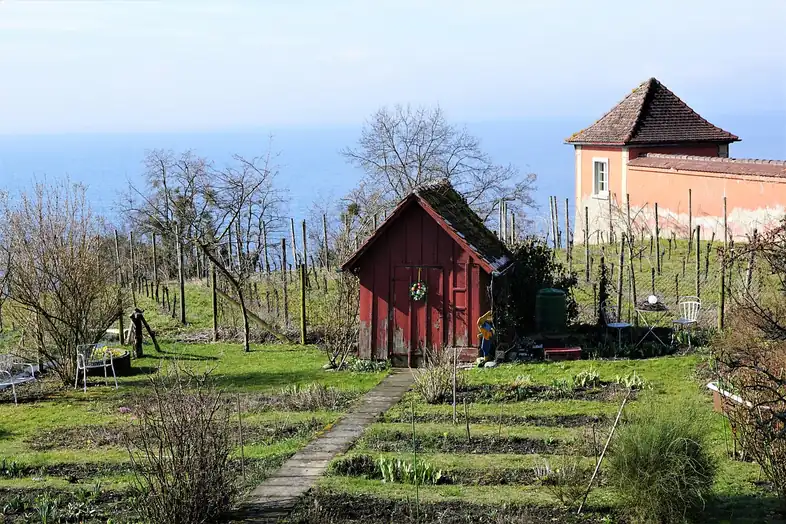 Caseta pequeña de madera pintada de rojo en una huerta con viñedo, con una extensión de agua al fondo