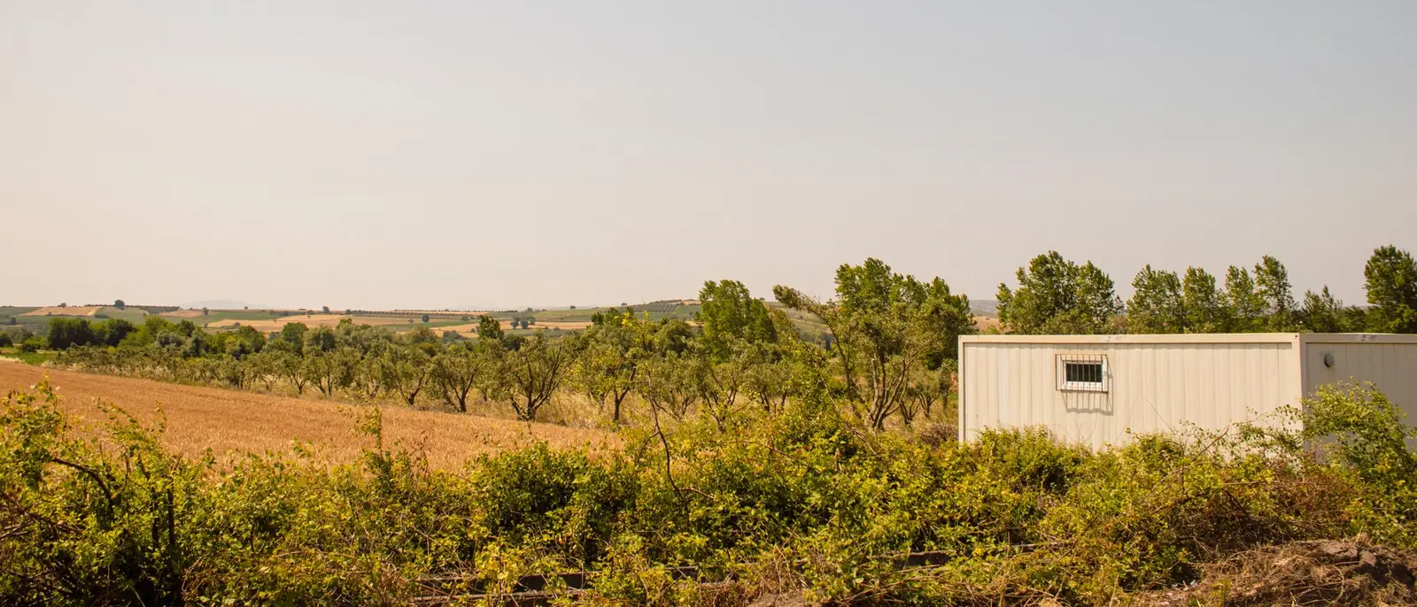 Caseta prefabricada de color claro en una finca rural, con árboles y un campo de cereal al fondo