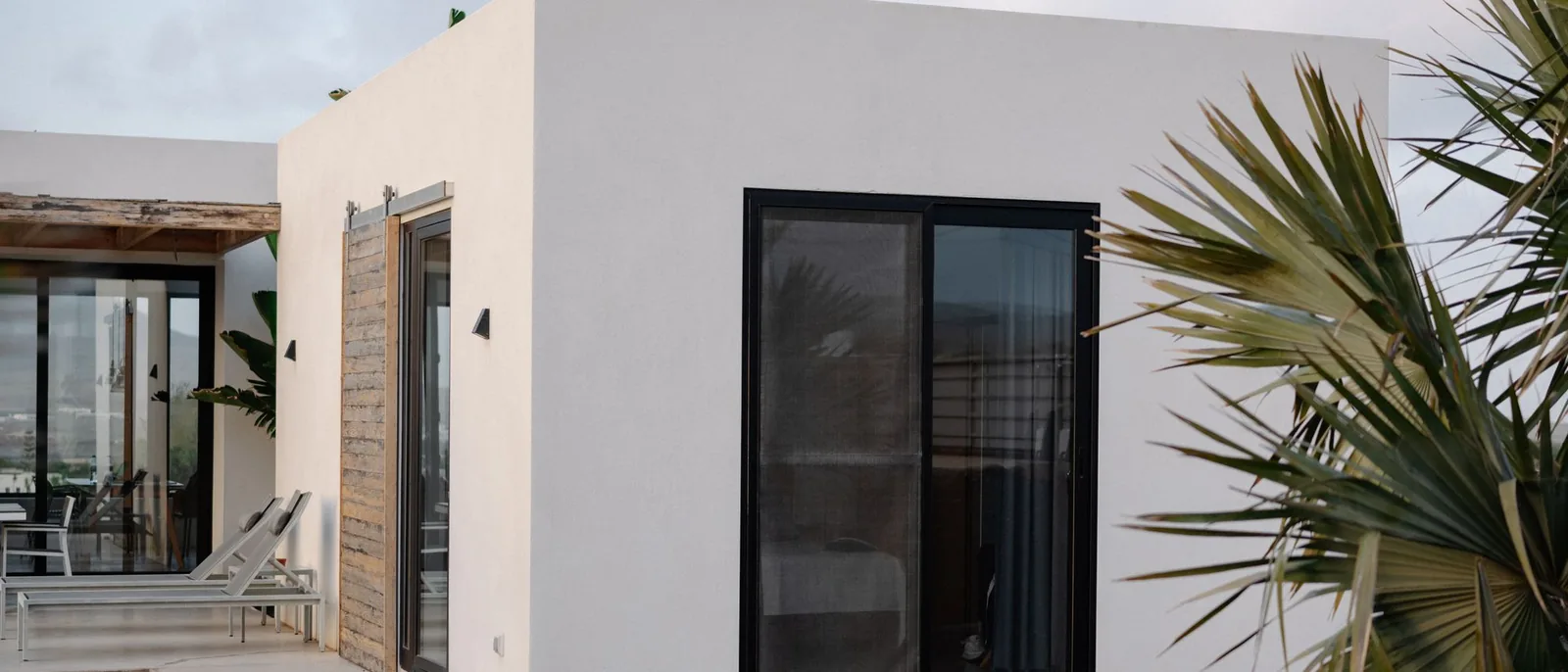 Casa moderna de paredes blancas con grandes ventanales y una palmera en primer plano