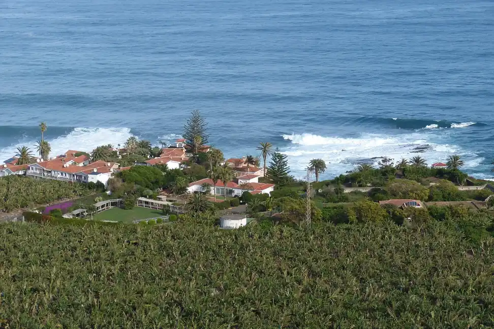 Plataneras en ladera junto al mar, con casas de tejados rojos entre palmeras